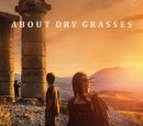 ABOUT DRY GRASSES (15)